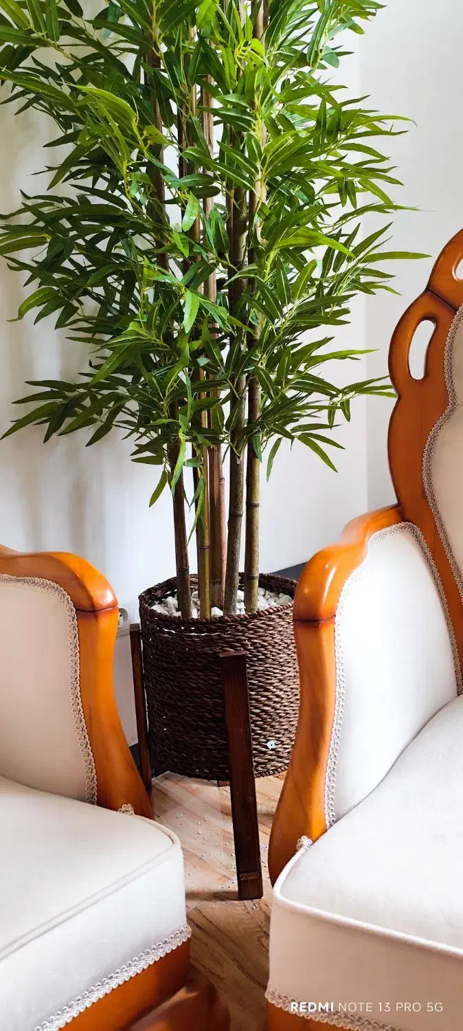 درختچه بزرگ|گل مصنوعی|سنندج, |دیوار