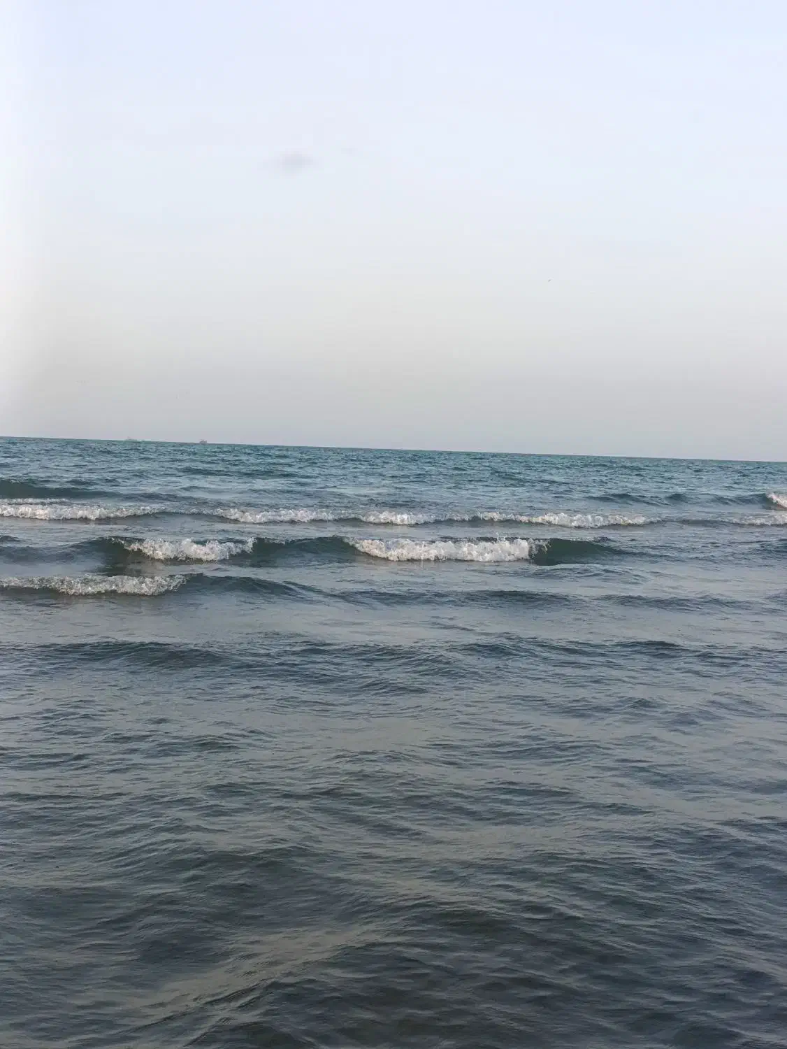 تفریح و سفر نیم‌روزی اطراف رشت|فعالیت داوطلبانه|رشت, پارک شهر|دیوار