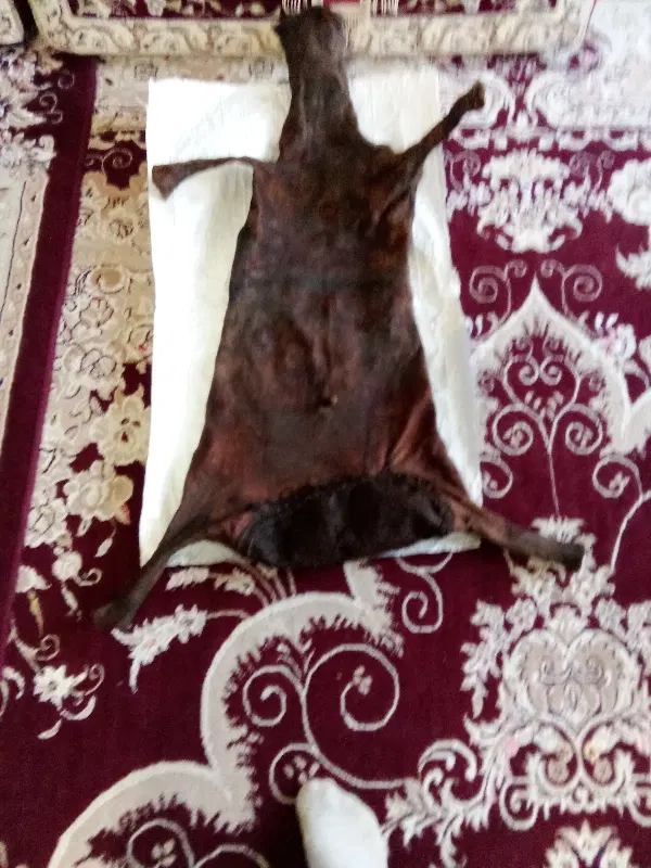 مشک پوستی|صنایع دستی و سایر لوازم تزئینی|چرداول, |دیوار