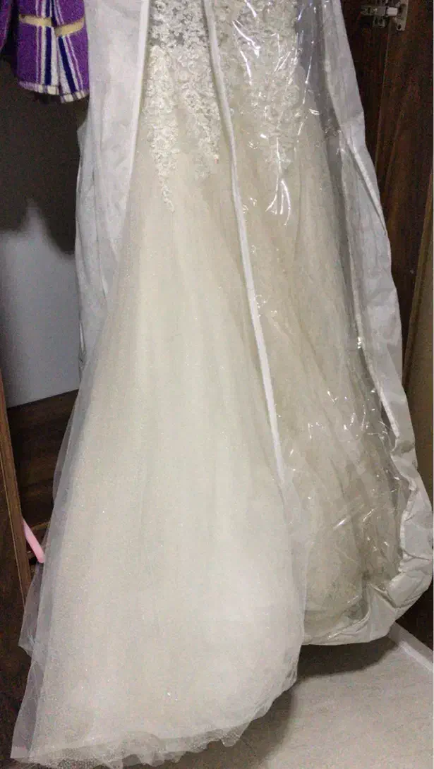 لباس عروس|لباس|قائم‌شهر, |دیوار