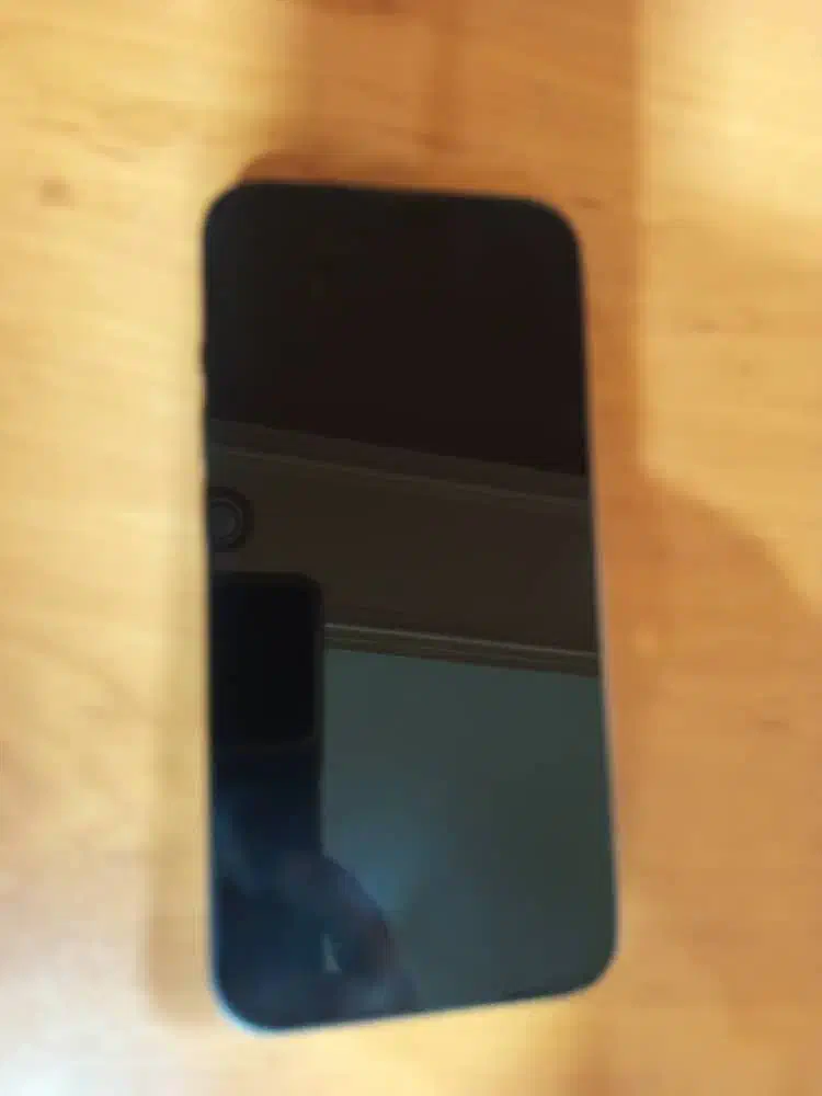 ایفون ۱۳ ایکلود|موبایل|کرج, باغستان|دیوار