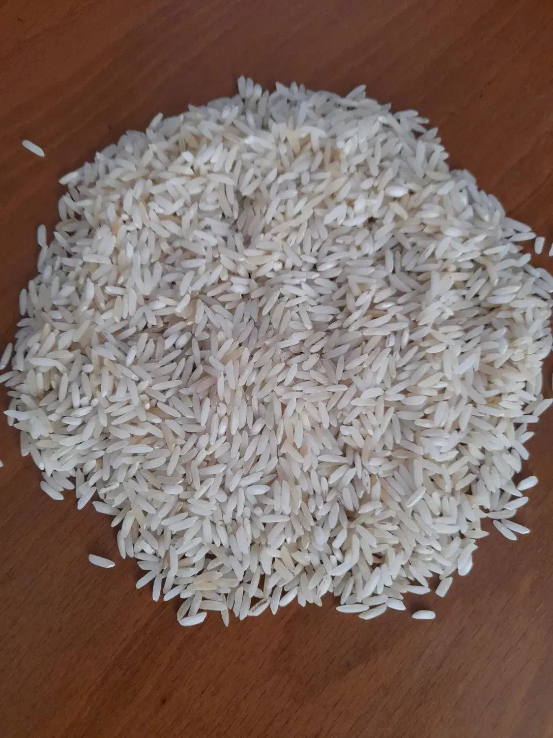 برنج زعفرانی طارم هاشمی محصول امسال|خوردنی و آشامیدنی|تبریز, |دیوار