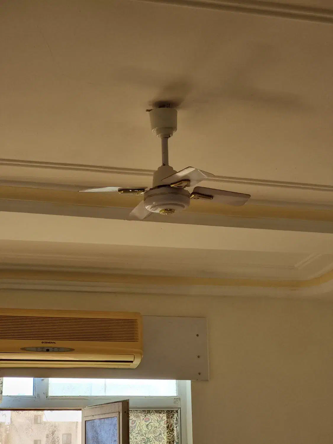 دو عدد پنکه|پنکه و تصفیهکنندهٔ هوا|بندرعباس, |دیوار