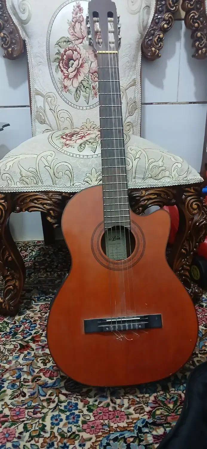 گیتارآریاak80پیکاپ دار|گیتار، بیس، امپلیفایر|کرمان, |دیوار