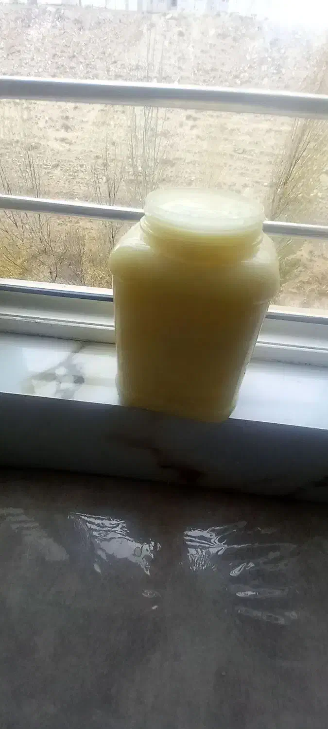 روغن زرد گوسفندی خالص|خوردنی و آشامیدنی|اردبیل, |دیوار