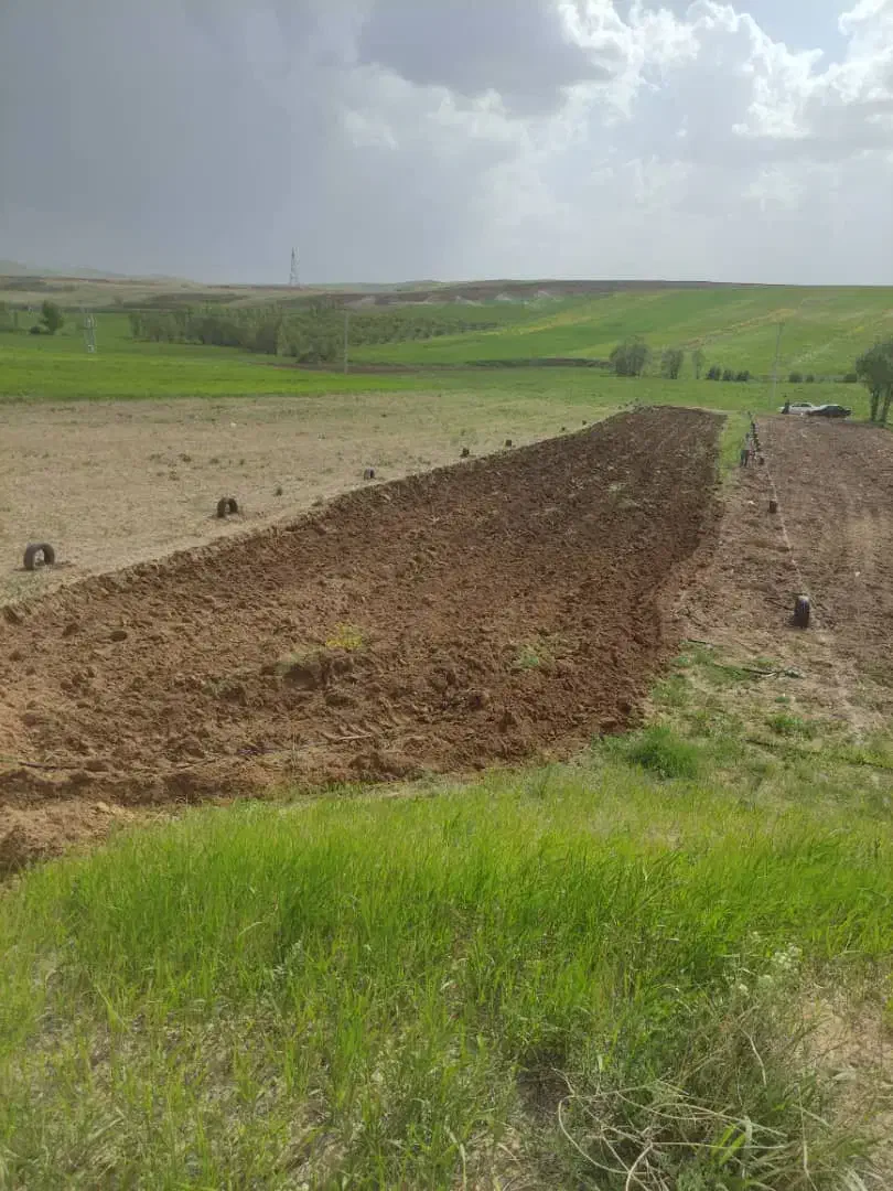 زمین ویلایی 2517دربستان ابادنرسیده به جاده شیرونده|فروش دفتر صنعتی، کشاورزی، تجاری|تیکمه داش, |دیوار