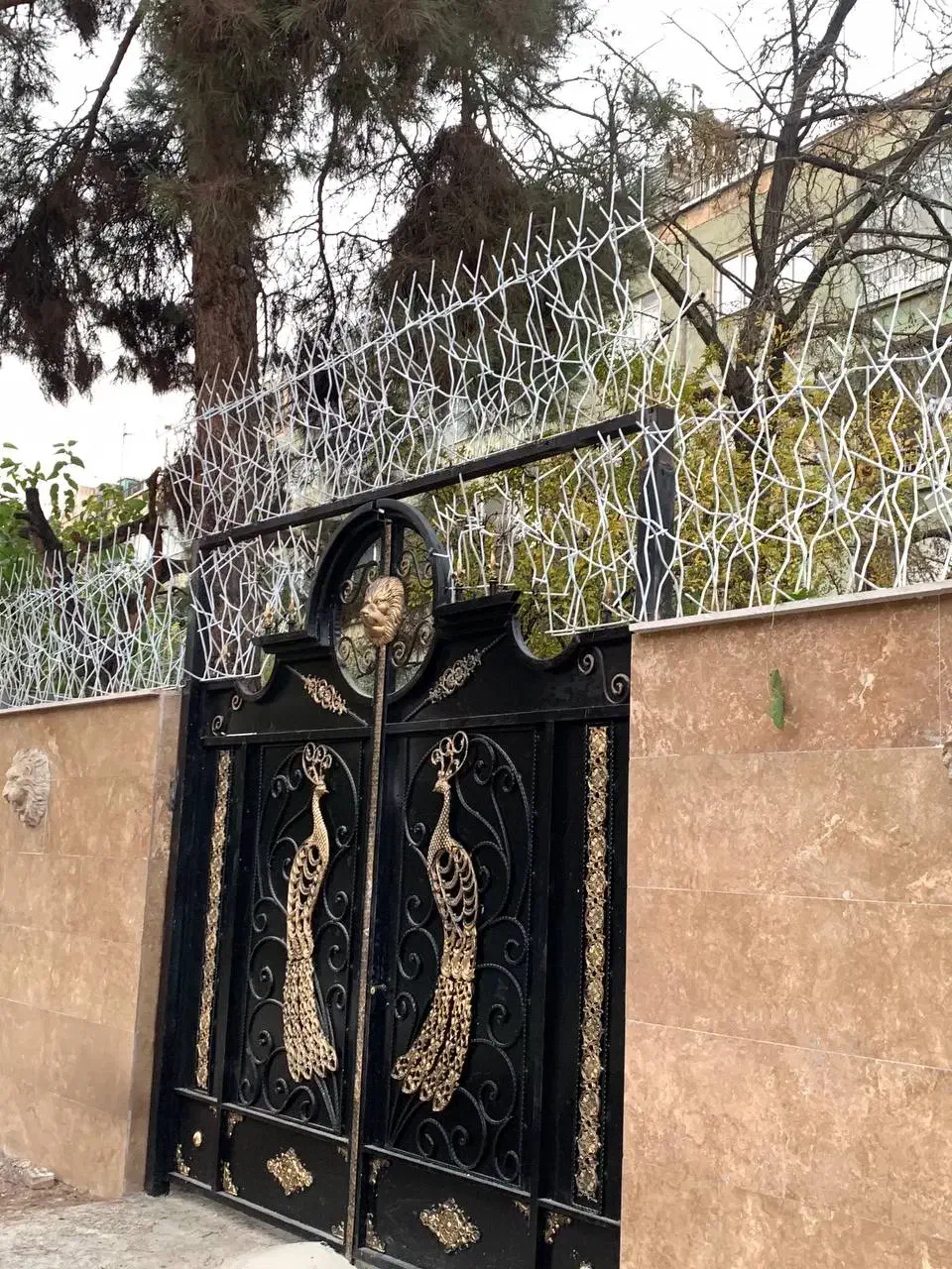 تولید و نصب شاخ گوزنی سرنیزه ابشاری|خدمات پیشه و مهارت|بومهن, |دیوار