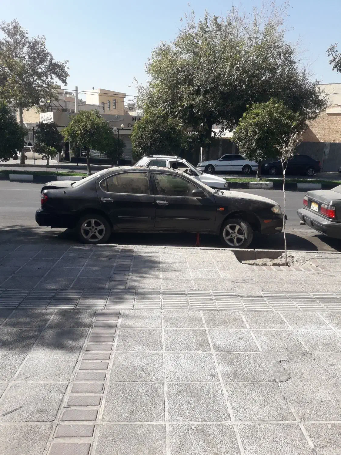 تنظیم موتوری وحید ایرانی خارجی روشن کردن|خدمات موتور و ماشین|شیراز, اصلاح‌نژاد|دیوار