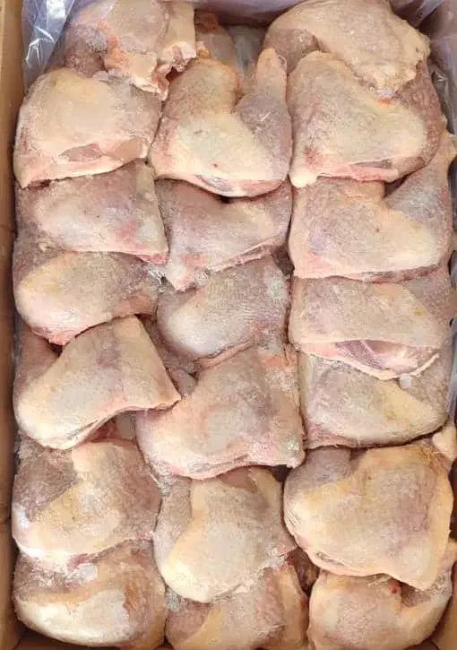 پخش گوشت و مرغ منجمد عمده|عمده‌فروشی|تهران, شهرک کوهسار|دیوار