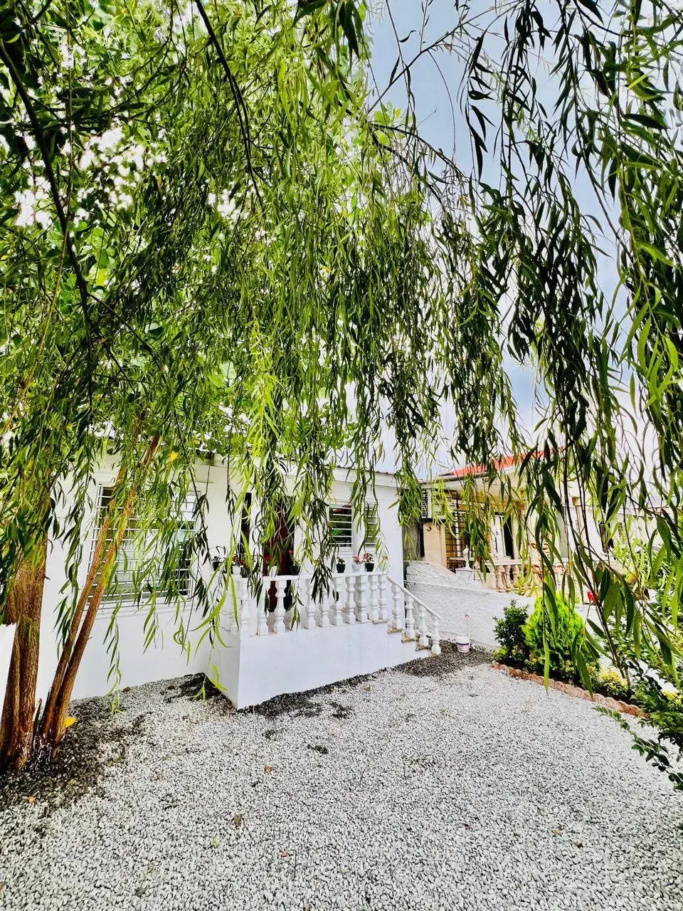 ویلا فلت 150 متری سرسبز جنگلی سند ششدانگ|فروش خانه و ویلا|املش, |دیوار