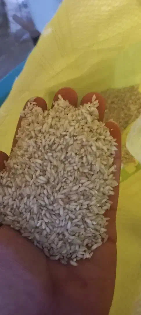 برنج محلی|خوردنی و آشامیدنی|بهبهان, |دیوار