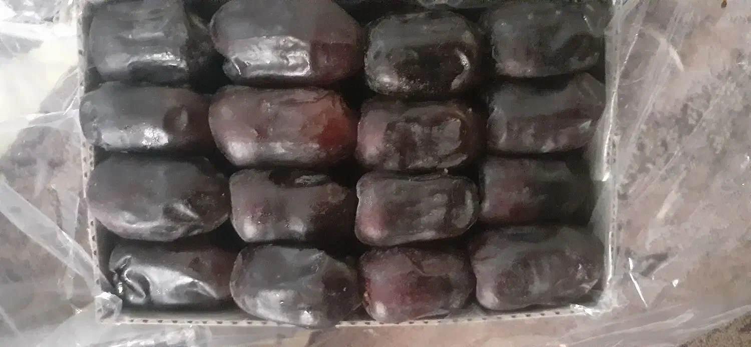 خرما مضافتی بم|خوردنی و آشامیدنی|تهران, منیریه|دیوار