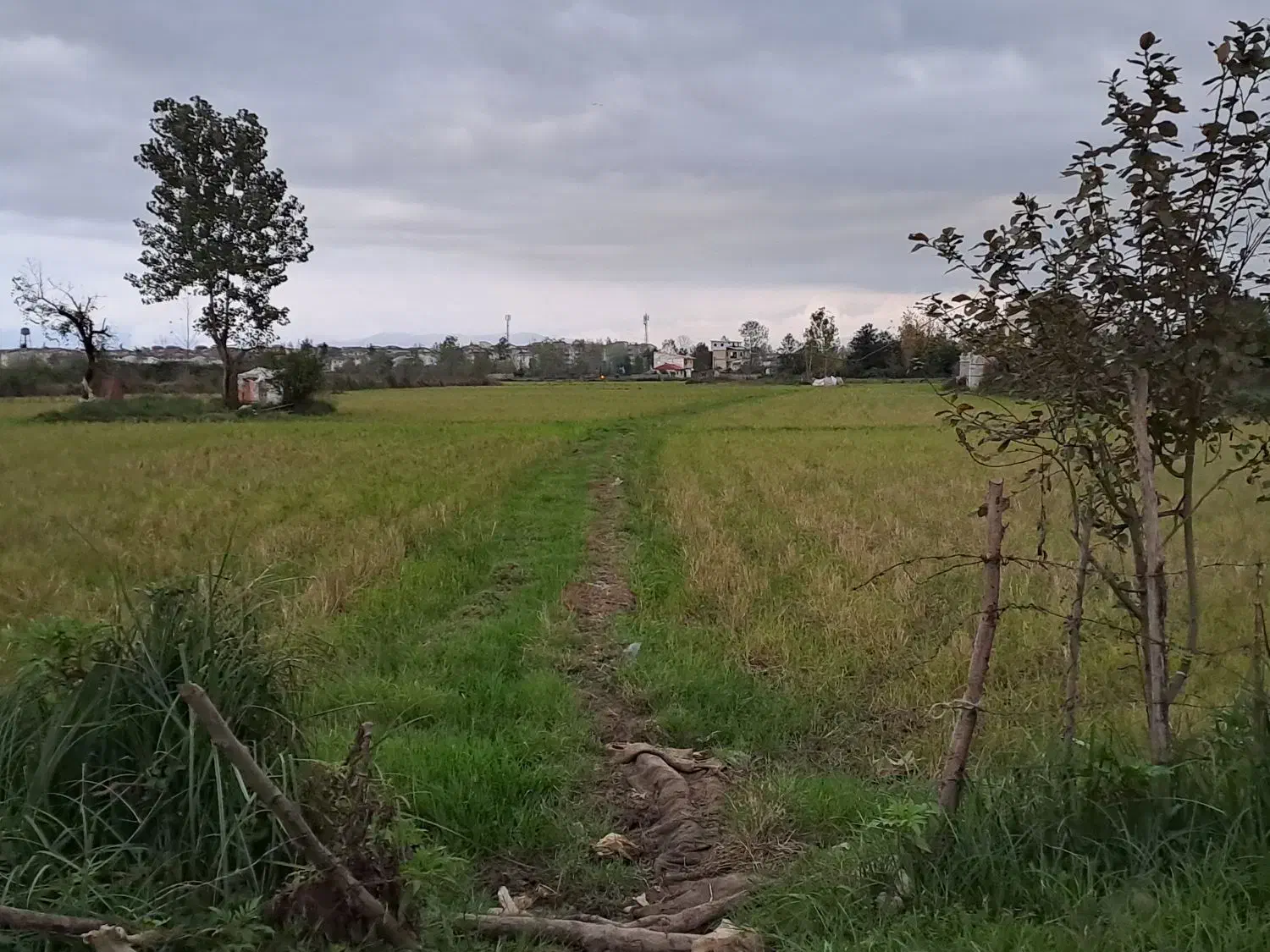 زمین ۱۸۰۰۰متری دربلوار لاکان کوچه ملکی|فروش زمین و ملک کلنگی|رشت, لاکان شهر|دیوار