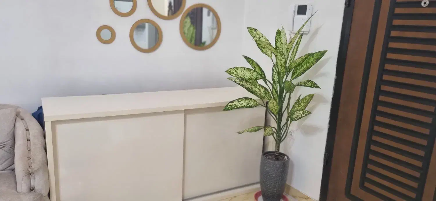 ام دی اف ۱۸۰|بوفه، ویترین، کنسول|رشت, گلزاران|دیوار