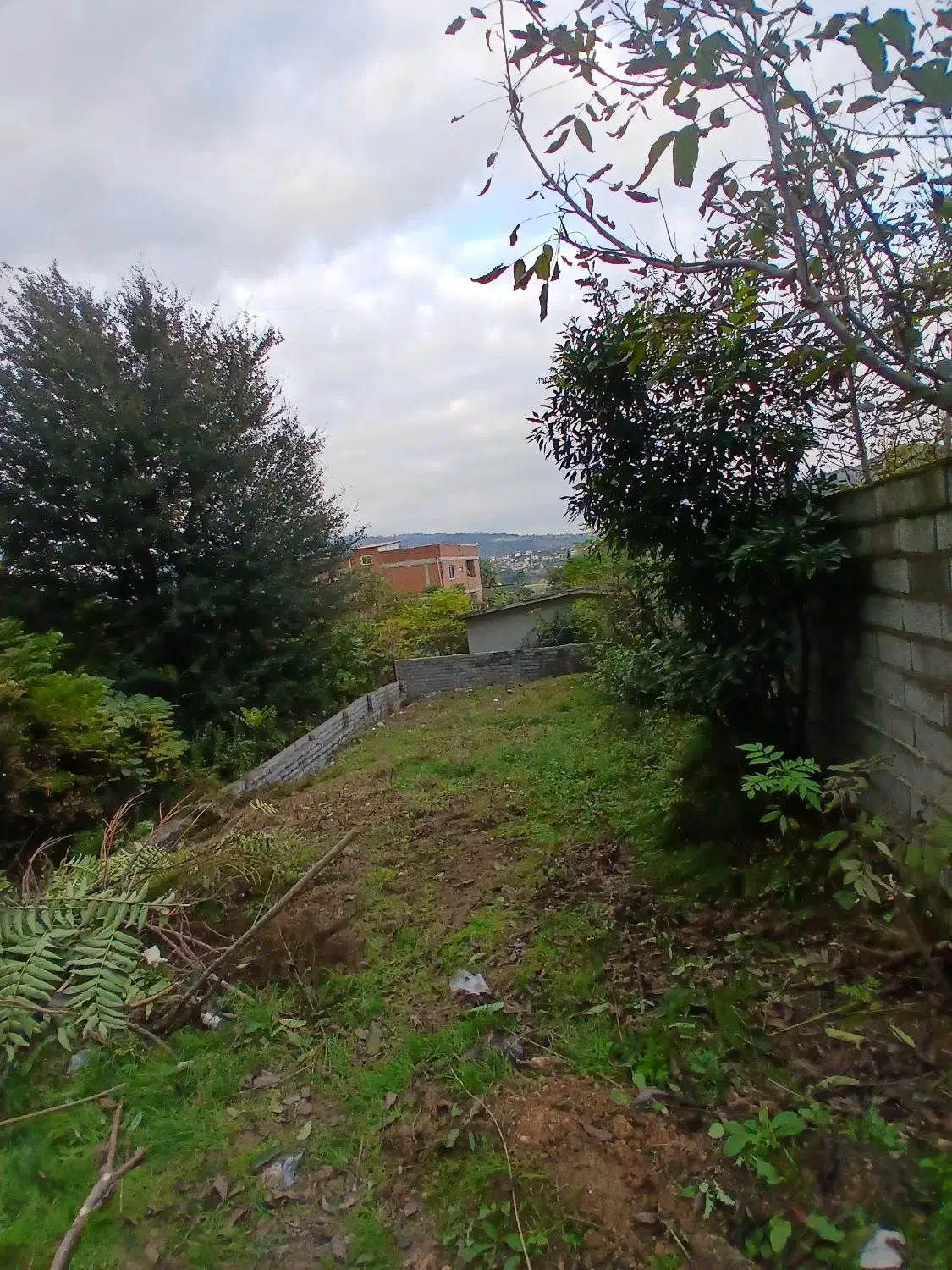 زمین مسکونی در ساری شهر هولار|فروش زمین و ملک کلنگی|پایین هولار, |دیوار