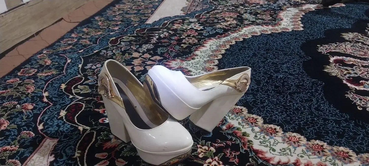 کیف و کفش|کیف، کفش، کمربند|تربت جام, معدآباد|دیوار