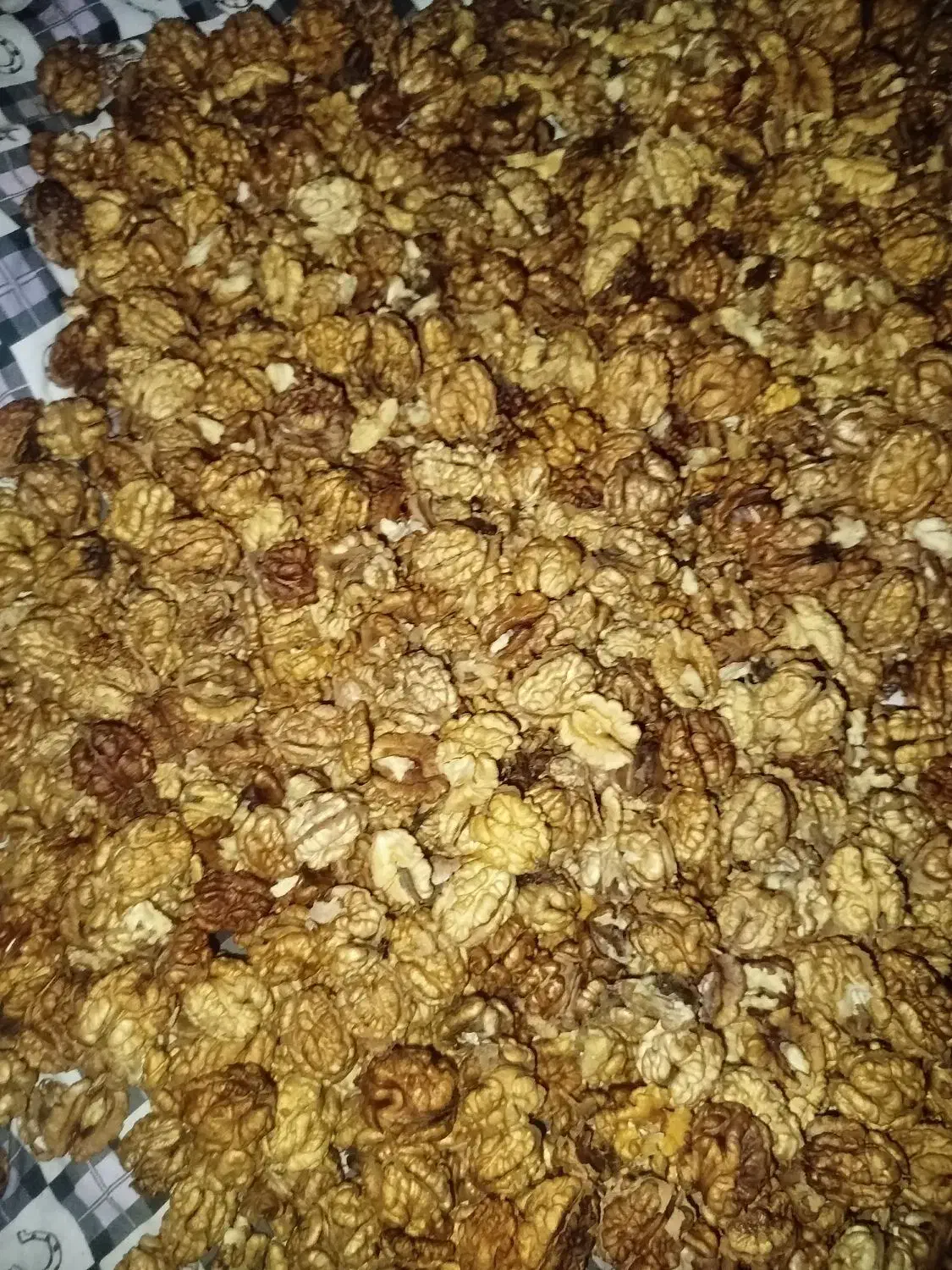 فروش مغز گردوی تازه|خوردنی و آشامیدنی|شاهین دژ, |دیوار