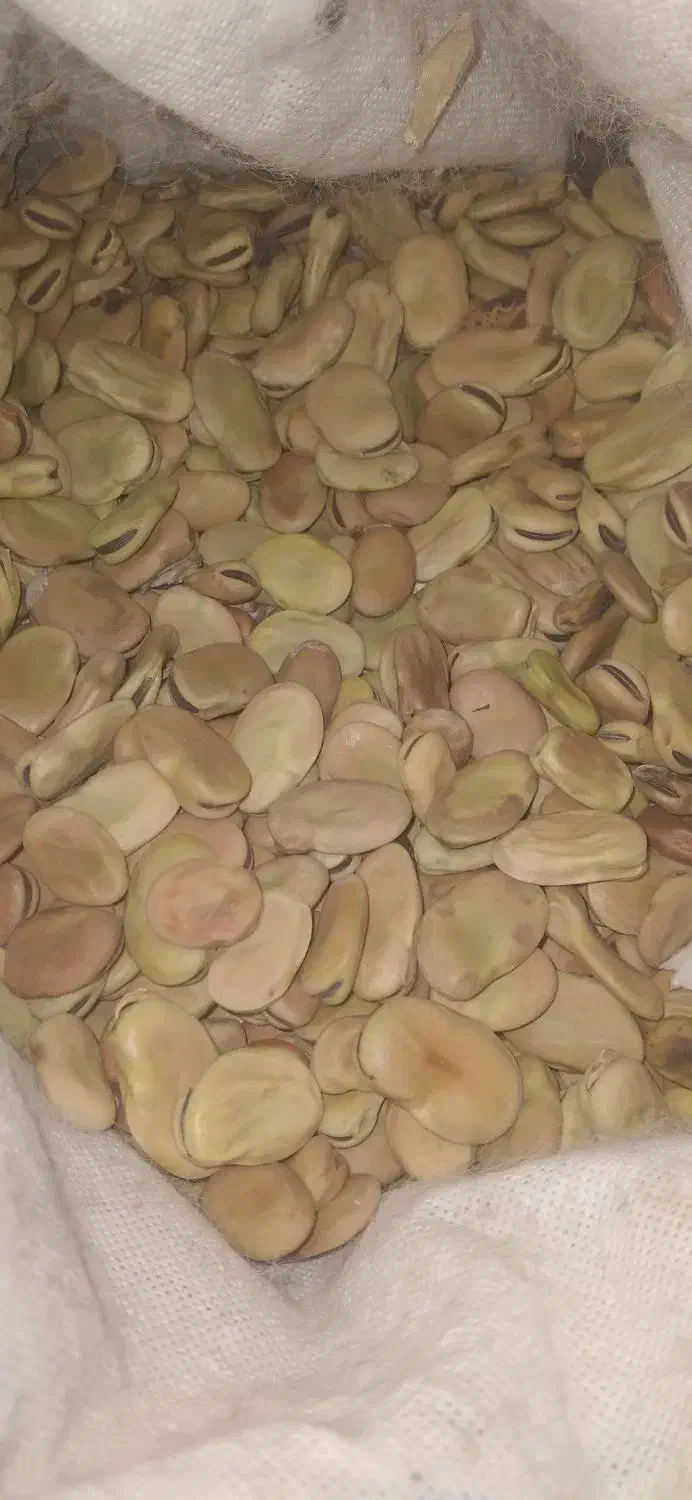 باقلا|خدمات باغبانی و درختکاری|دره شهر, |دیوار