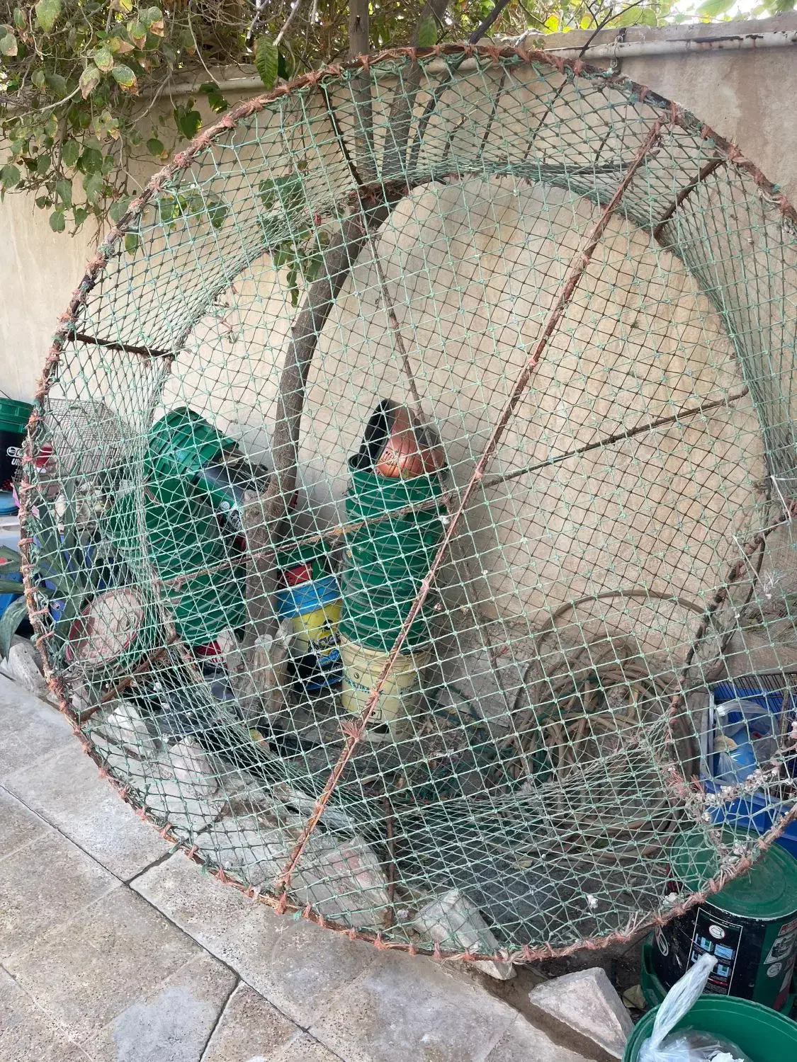 قفس|لوازم جانبی حیوانات|بوشهر, |دیوار