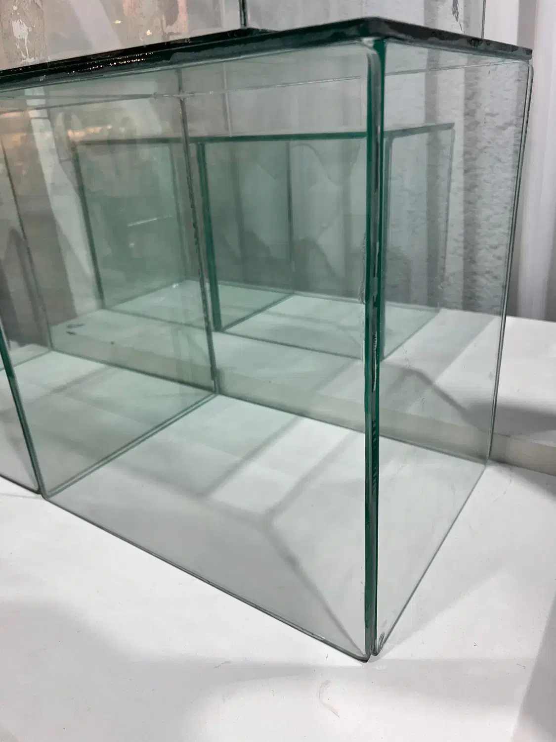 شیشه اگواریم|ماهی|قشم, |دیوار