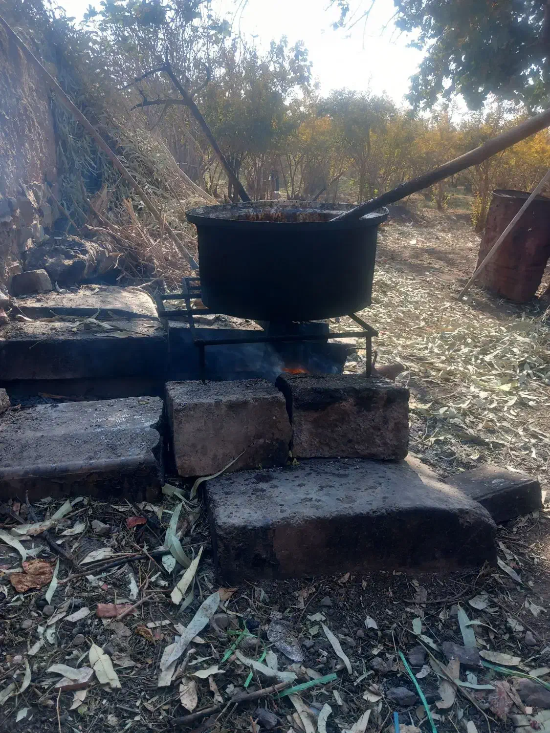 رب انار صدرصد طبیعی|خوردنی و آشامیدنی|قم, پردیسان|دیوار