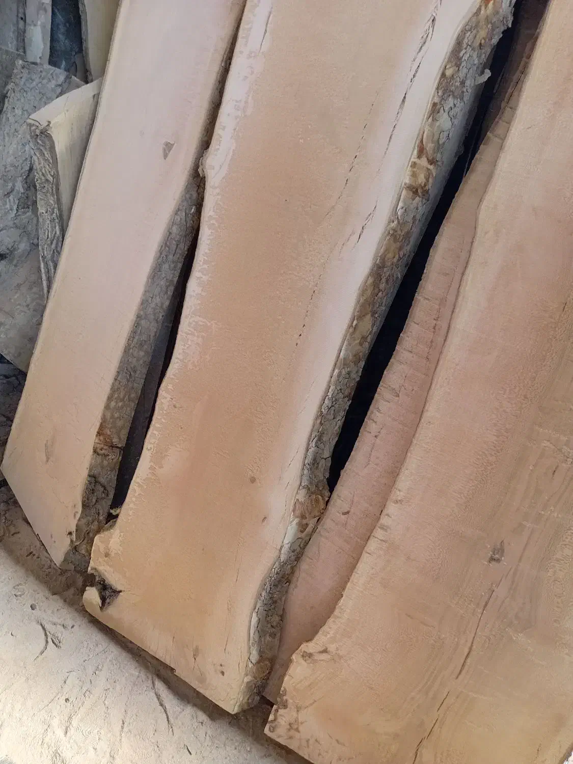 خرید انواع چوب درختان باغی و جنگلی|خدمات باغبانی و درختکاری|صفادشت, |دیوار