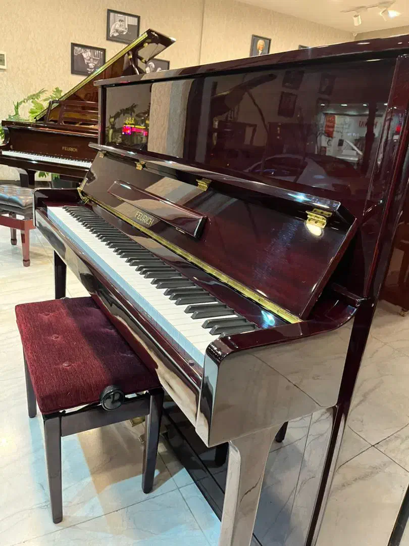 پیانو اکوستیک فویریخ FEURICH|پیانو، کیبورد، آکاردئون|تهران, بهجت‌آباد|دیوار