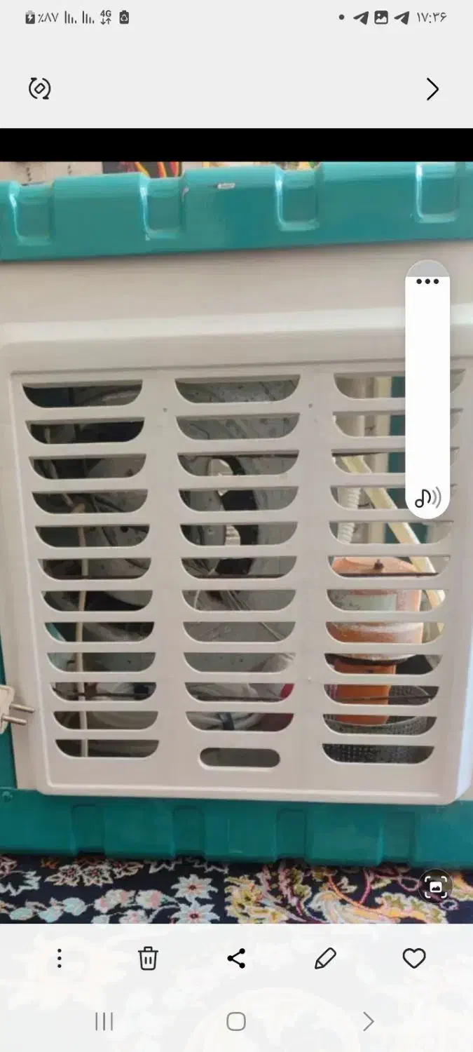 کولرابی جنرال سون|کولر آبی|جوانرود, |دیوار