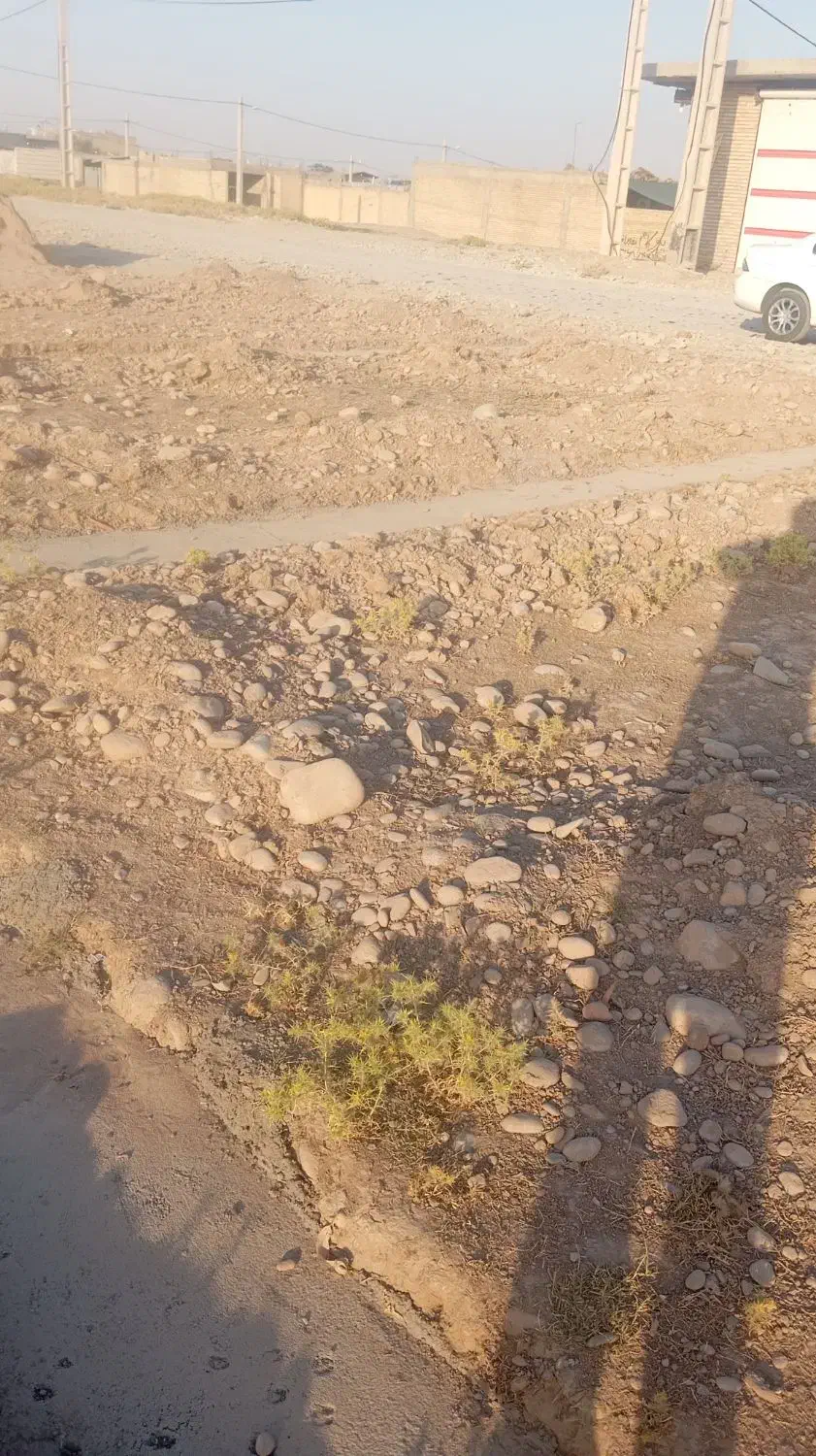 فروش زمین 1000متری چسبیده به شهر چم گلک .|فروش زمین و ملک کلنگی|اندیمشک, |دیوار