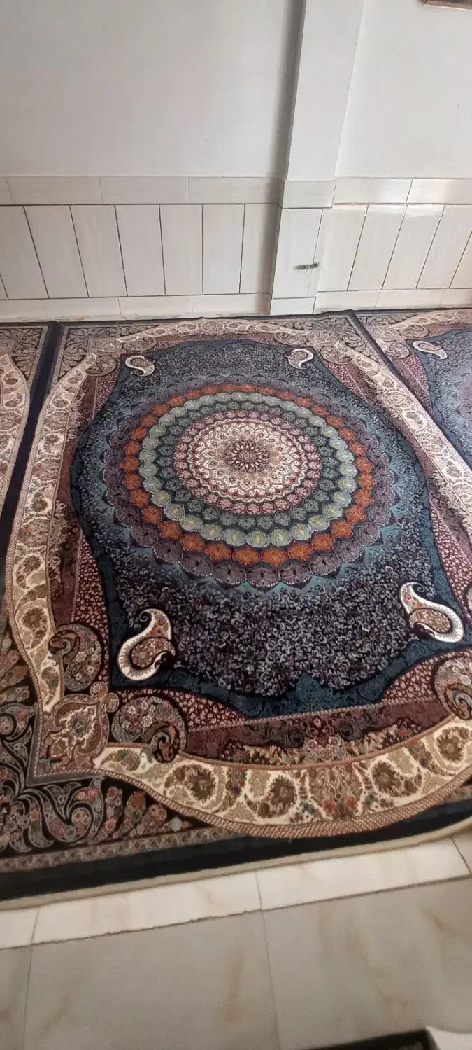 قالی ۹متری در حد نو|فرش|اصفهان, بهارستان|دیوار