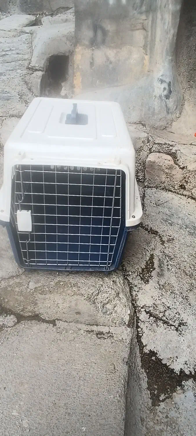 قفسه سگ|لوازم جانبی حیوانات|مریوان, |دیوار