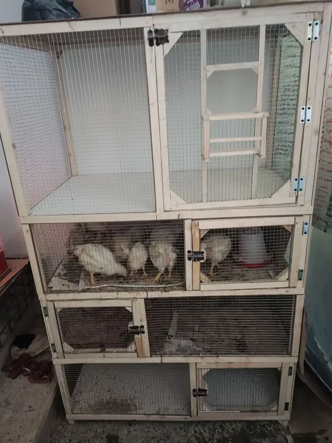 قفس|لوازم جانبی حیوانات|دورود, |دیوار