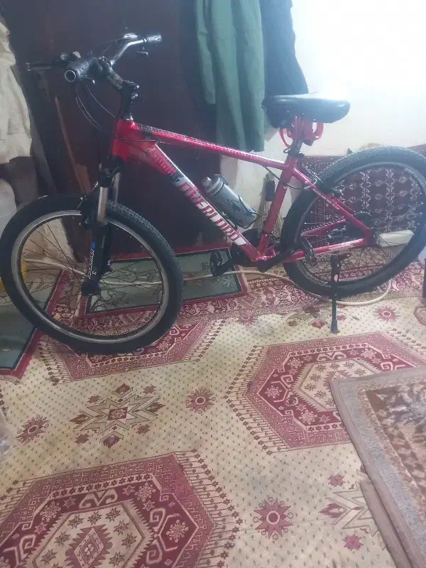 کوشی|موبایل|خلخال, |دیوار