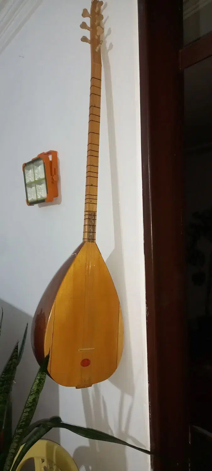 ساز دیوان ترکYLMAz|سازهای سنتی|سنندج, |دیوار