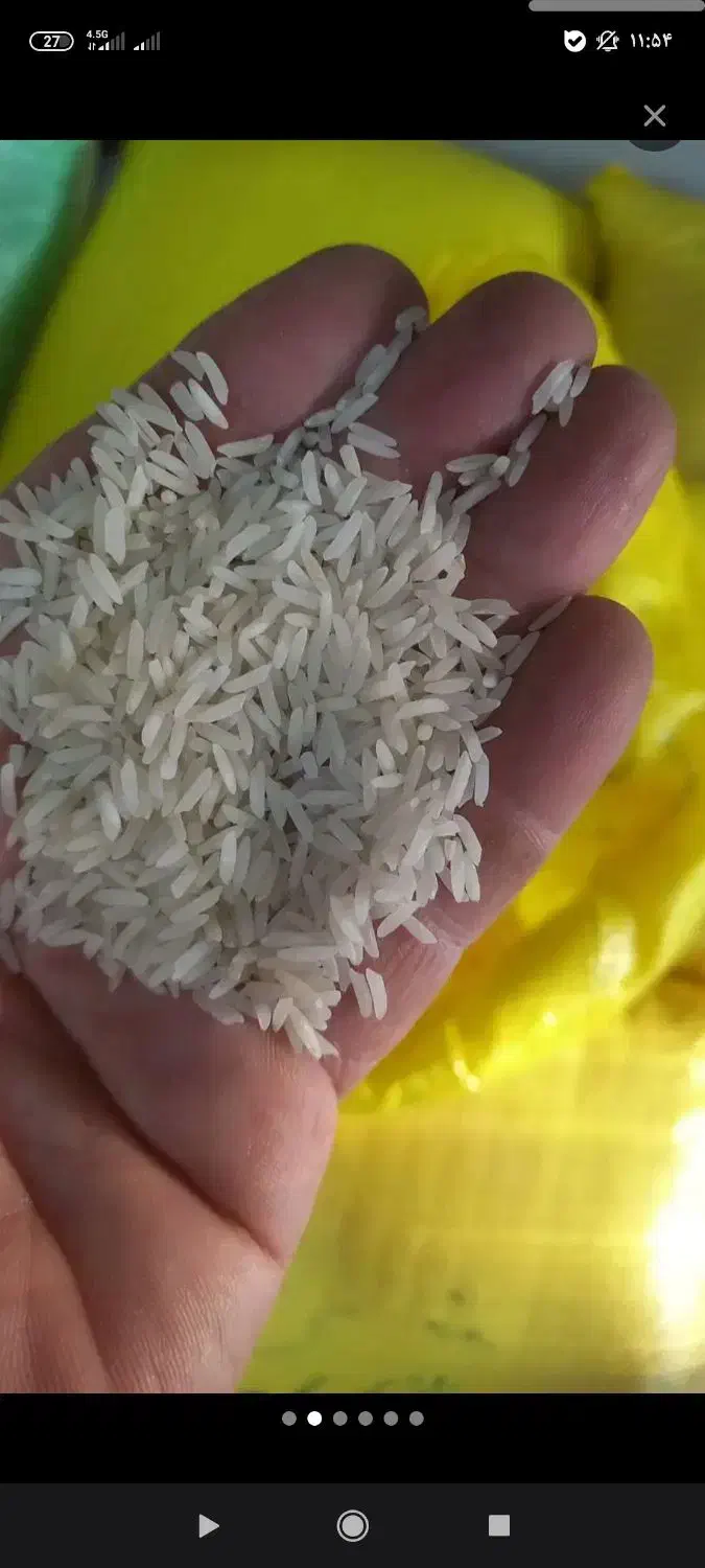 بزنج الموت|خوردنی و آشامیدنی|محمدیه-قزوین, |دیوار