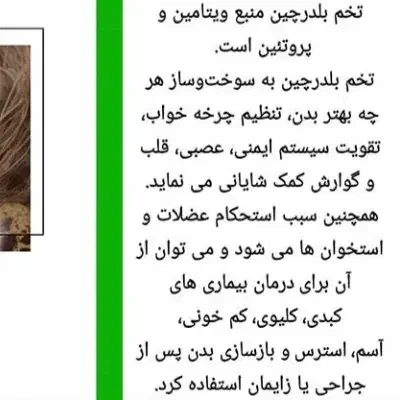 فروش تخم بلدرچین ارگانیک تازه|خوردنی و آشامیدنی|جیرفت, |دیوار