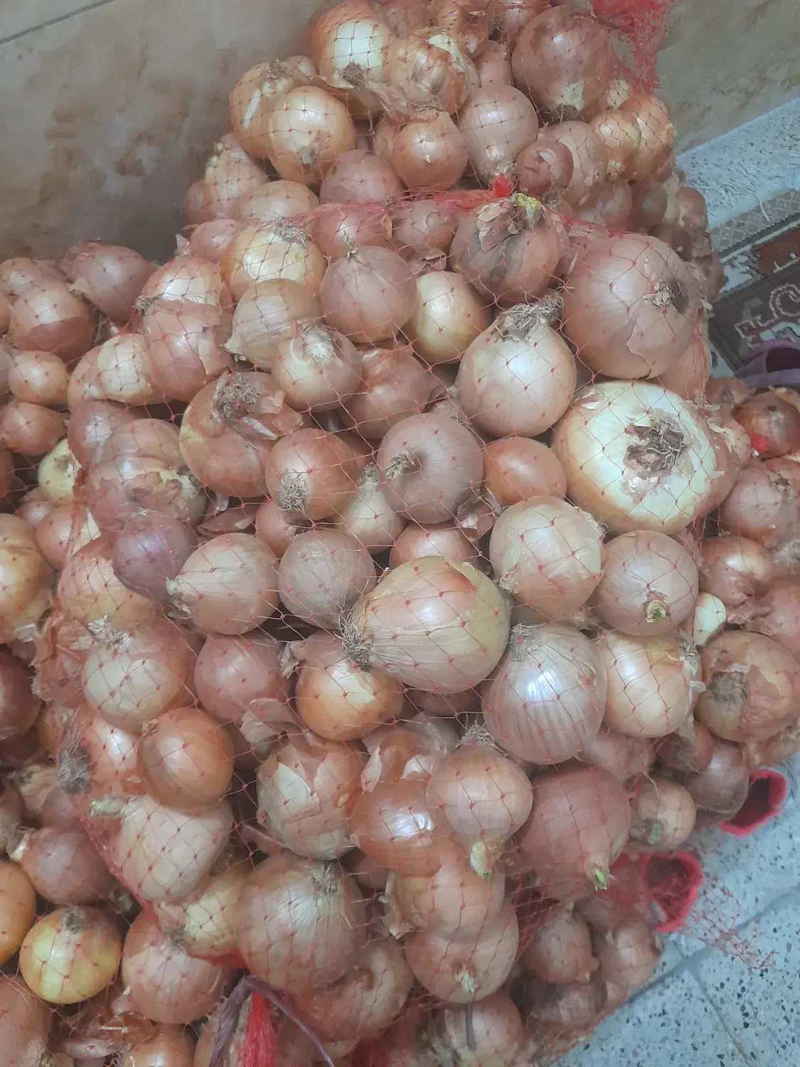 پیاز|خوردنی و آشامیدنی|فاروج, |دیوار