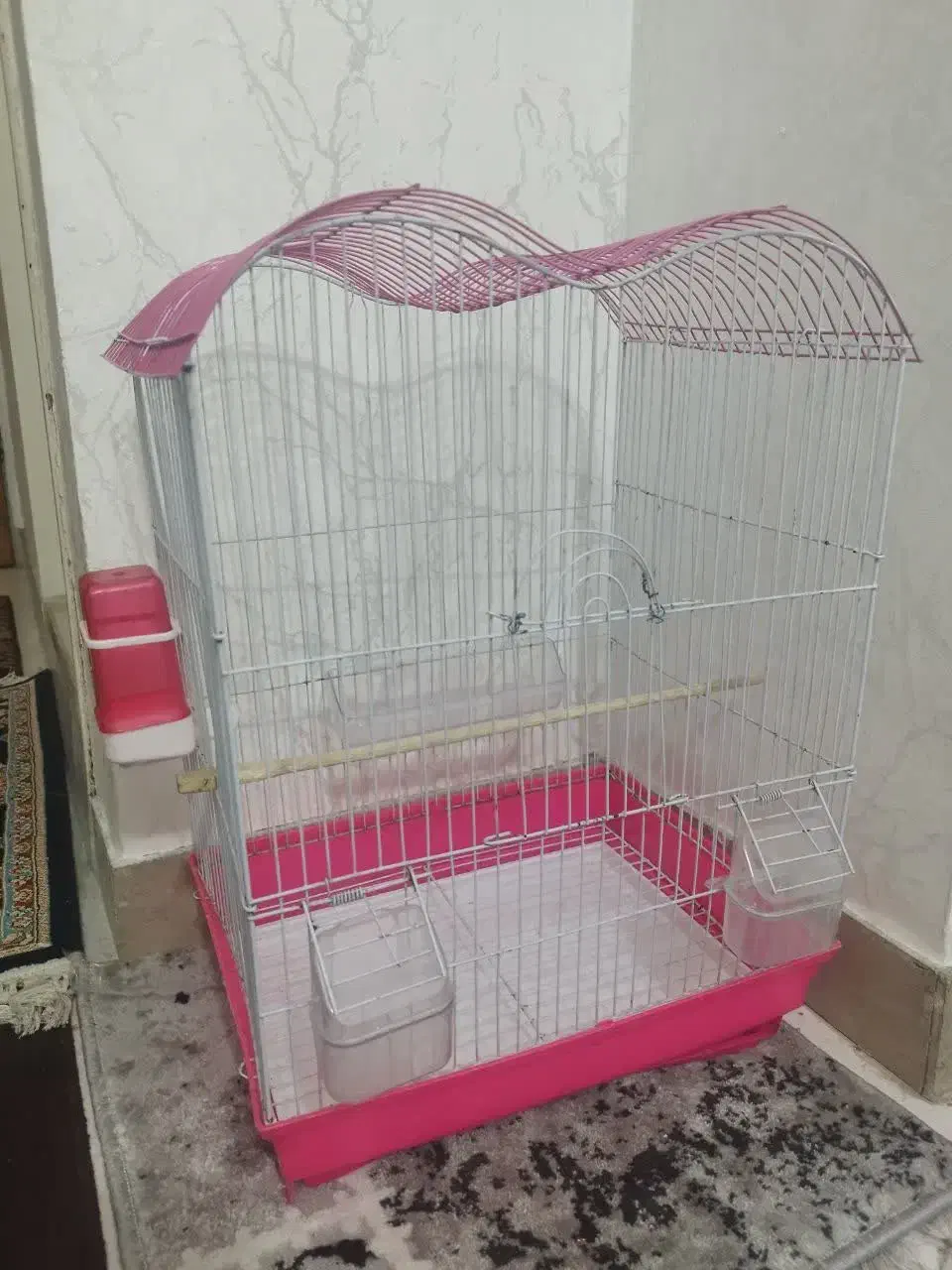 قفس پرنده تر و تمیز|لوازم جانبی حیوانات|اسلامشهر, مسکن مهر اسلاشهر (شهرک امام خمینی)|دیوار