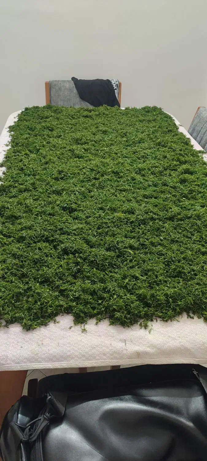 نظافت مناازل بازسازی شده و مبله و محیط اداری و...|خدمات نظافت|مشهد, جاهد شهر|دیوار