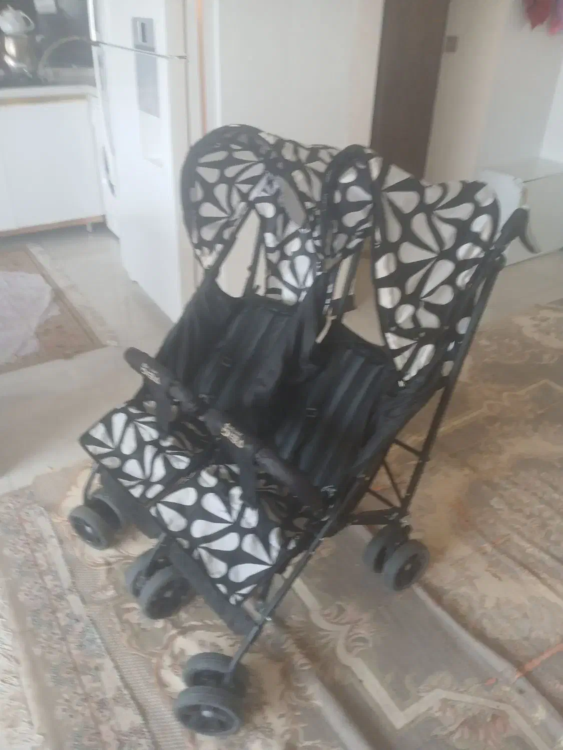 کالسکه دوقلو دلیجان|کالسکه و لوازم جانبی|شاهین‌شهر, اقبال لاهوری|دیوار