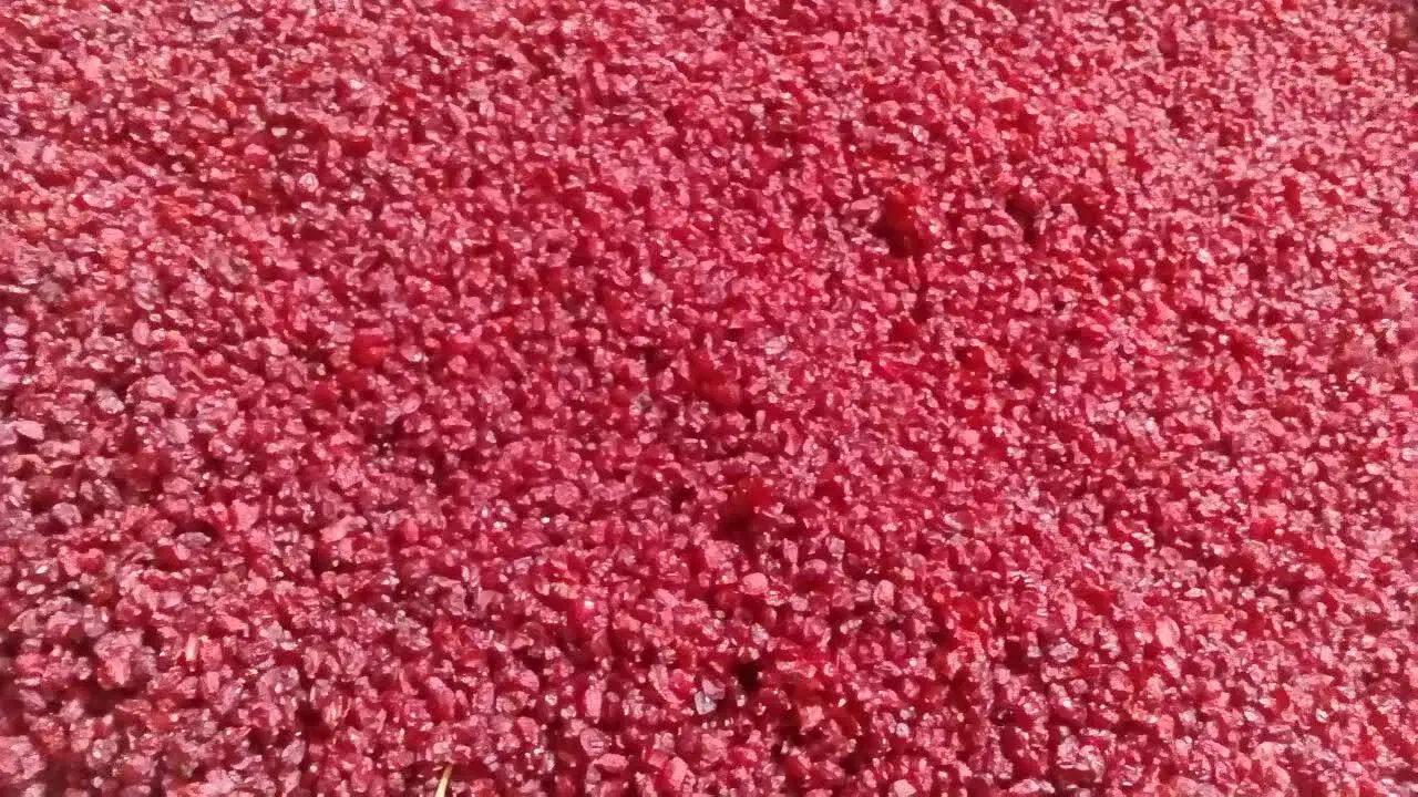 زرشک خشک ، باغ زرشکی ، شاخ زرشک|عمدهفروشی|بیرجند, |دیوار