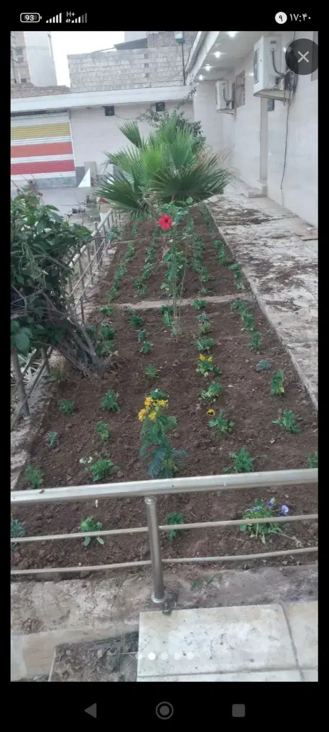 باغبانی هستم|خدمات باغبانی و درختکاری|بندر امام خمینی, |دیوار