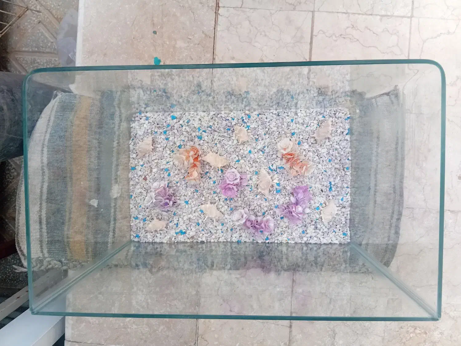 آکواریوم|ماهی|یزد, |دیوار