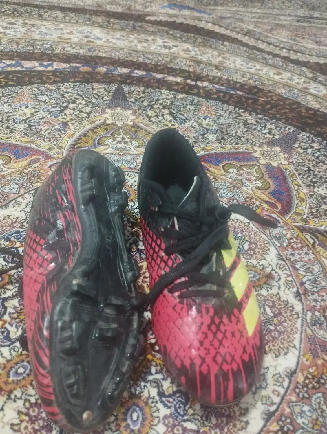 کفش فوتبال|کیف، کفش، کمربند|الوند, |دیوار