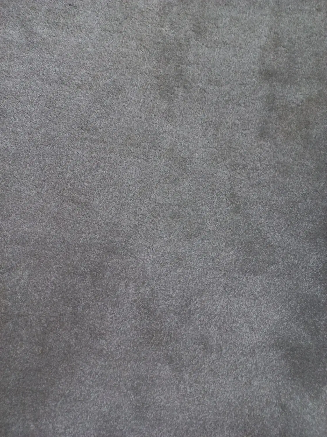 موکت پرزبلند پالاز درجه یک|موکت|یزد, |دیوار