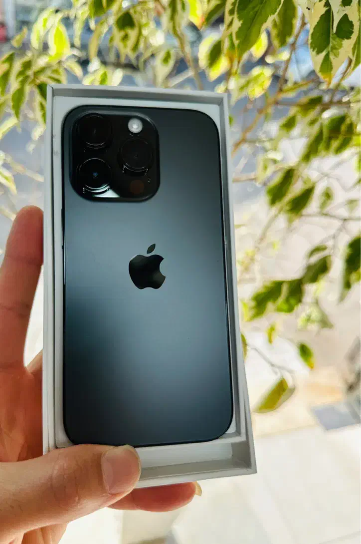 iPhone 14pro zaa|موبایل|رشت, پیرسرا|دیوار