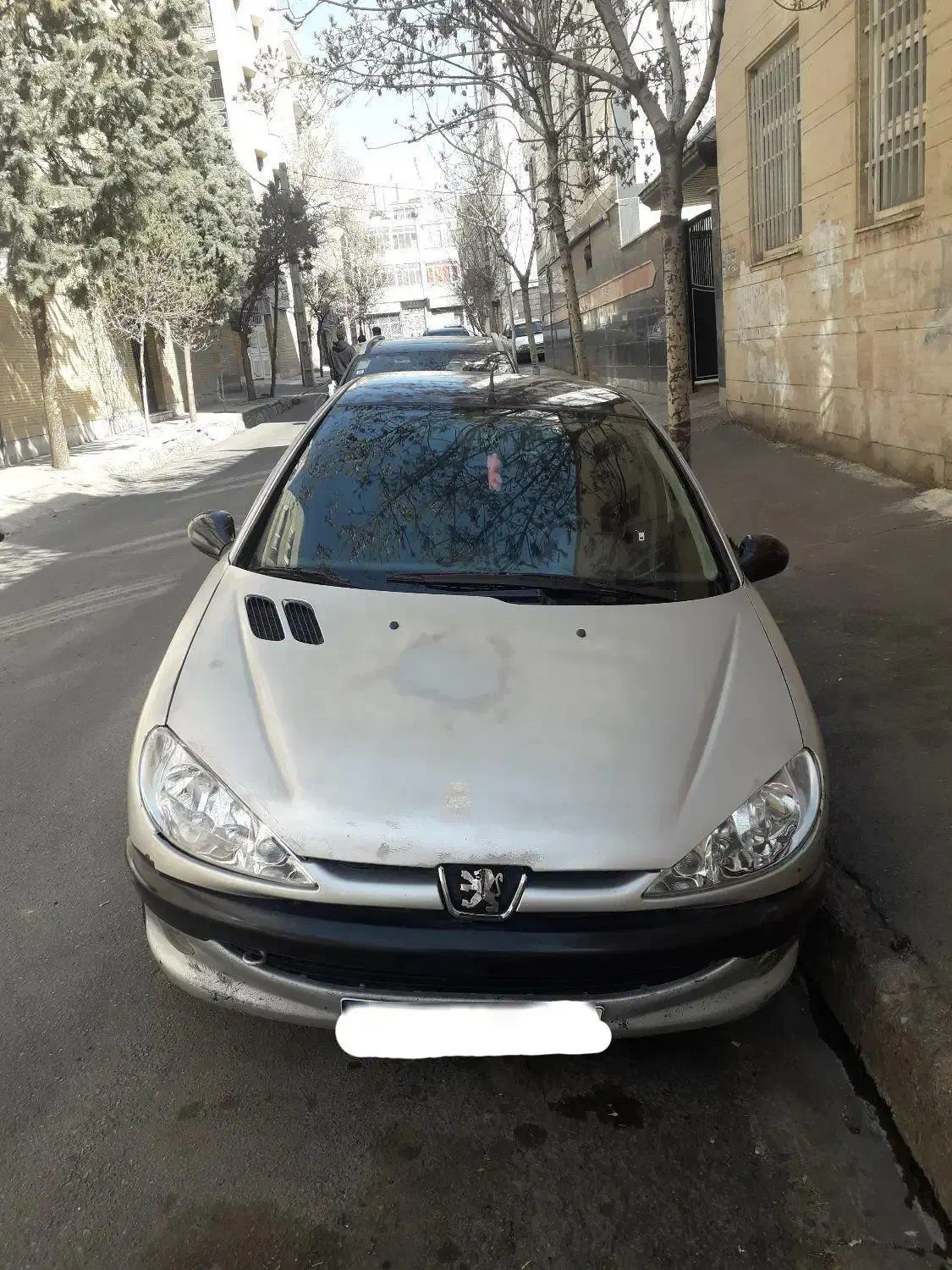 206 تیپ ۲|خودرو سواری و وانت|باغستان, |دیوار