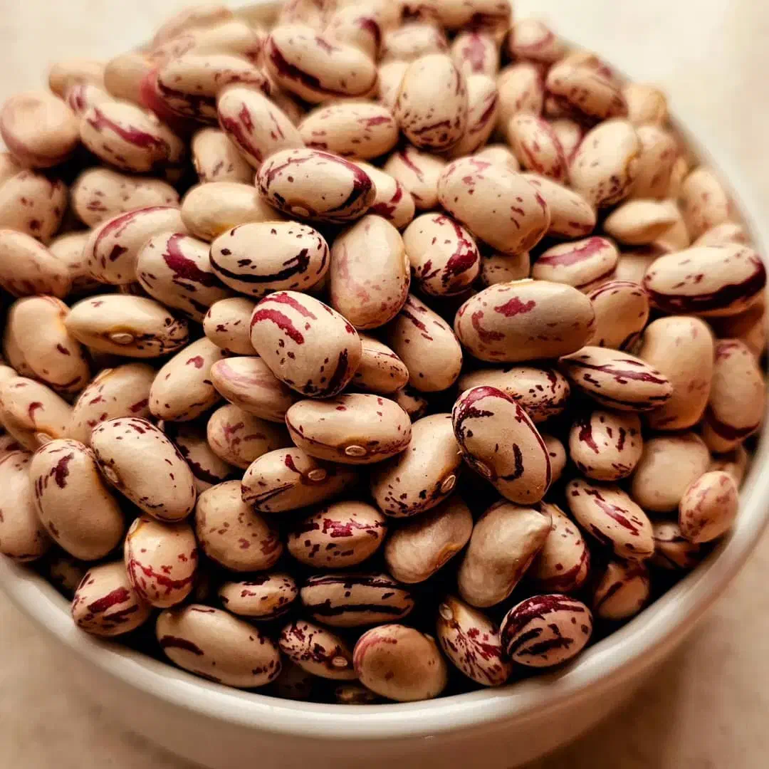 3600|خوردنی و آشامیدنی|چاروسا, |دیوار