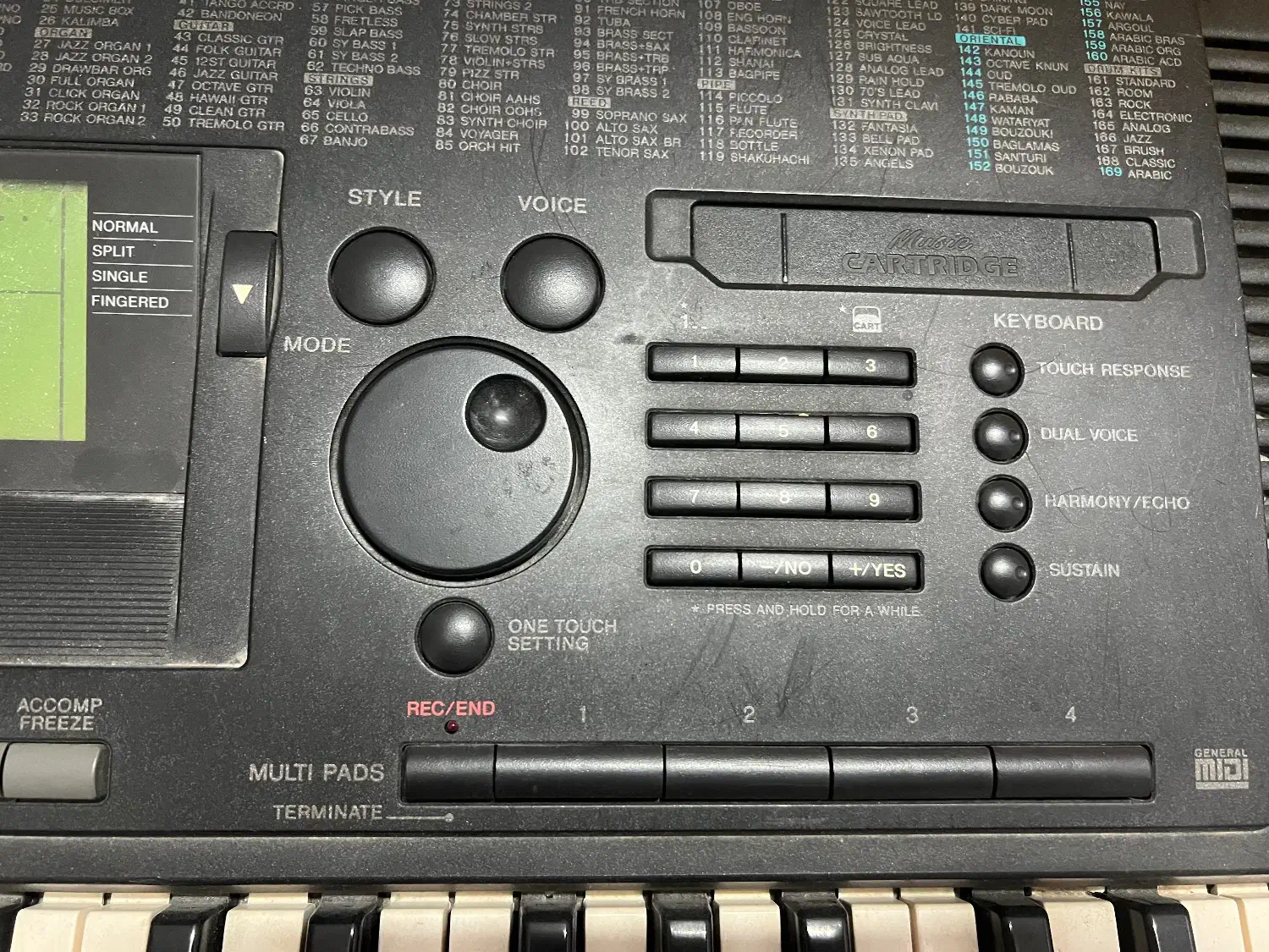 ارگ|پیانو، کیبورد، آکاردئون|بوشهر, |دیوار