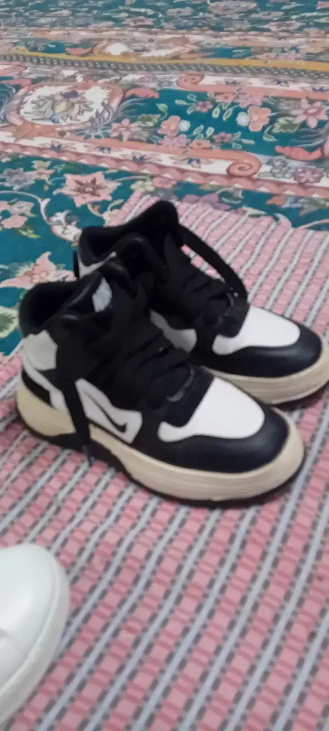 دو جفت کفش|کیف، کفش، کمربند|چناران, |دیوار